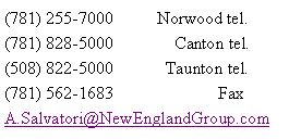 Text Box: (781) 255-7000 Norwood tel.
(781) 828-5000 Canton tel.
(508) 822-5000 Taunton tel.
(781) 562-1683 Fax
A.Salvatori@NewEnglandGroup.com